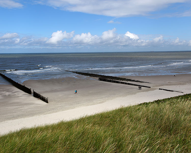 Blick über die Dünen auf den ruhigen Nordseestrand von Wangerooge mit Buhnen im Wasser, vereinzelt laufen Menschen über den Strand, am blauen Himmel sind weiße Wolken erkennbar