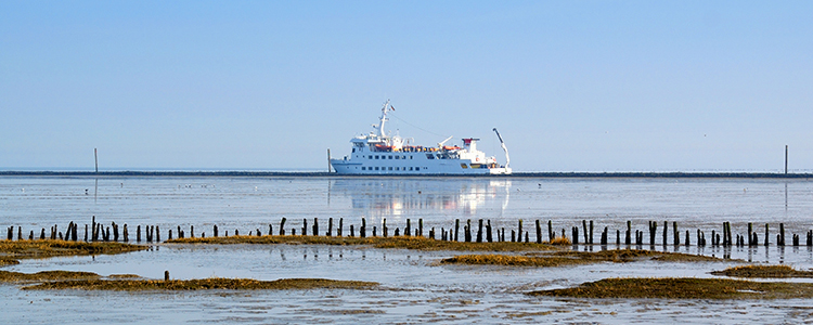 Fährschiff auf dem Weg nach Wangerooge fährt bei ruhiger See durch das Wattenmeer, im Vordergrund sind Priele und Buhnenstrukturen sichtbar